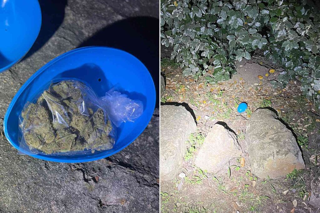 Marijuana-easter-eggs-042625-aefe90b9fe974506bfead569511fbfbf.jpg